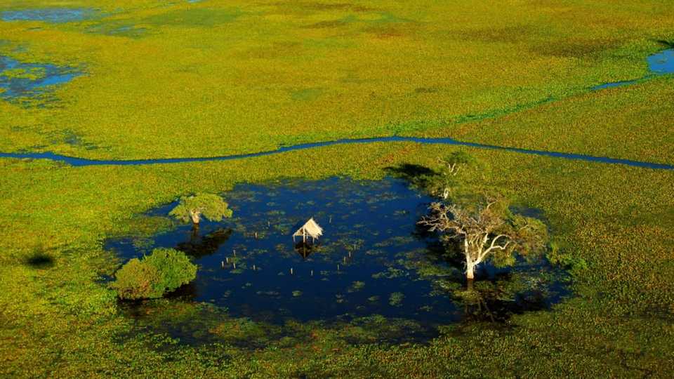 Vista aérea de um barraco de palha construído em uma depressão, provavelmente utilizado para armazenar sal para o gado, completamente alagado em plena região da Lagoa do Chacororé em Barão de Melgaço-MT. Brasil. Foto: Mário Friedlander. Copyright Mario Friedlander e Museu da Água da Universidade Federal do Tocantins. ND.