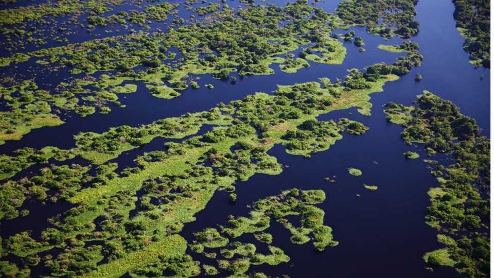 Vista aérea de campos inundados na beira de um rio pantaneiro, Pantanal de Corumbá-MS. Brasil. Foto: Mário Friedlander. Livre de direitos autorais. ND.