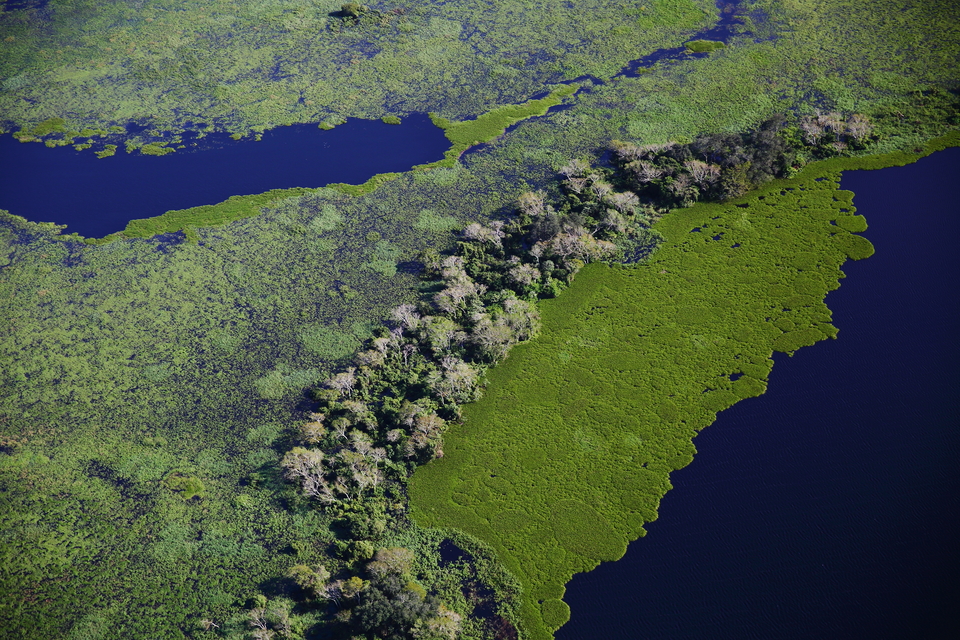 Pantanal Brasileiro, por Mario Friedlander - Foto 26