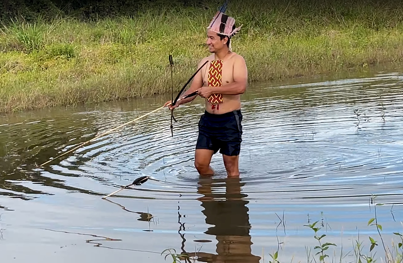 floresta tapajos